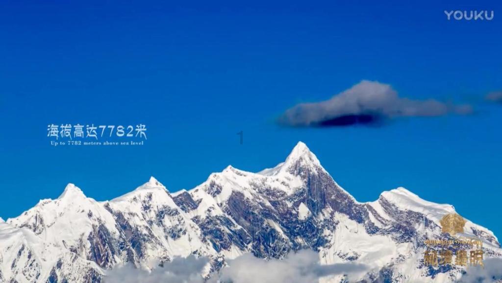 跳动的圆球