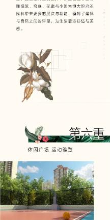 细胞分裂4