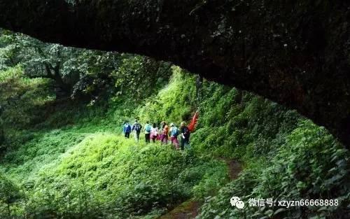 朝着加快建设金融强国目标奋力前行——省部级主要领导干部推动金融高质量发展专题研讨班学员谈认识