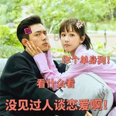 拯救可爱袋鼠