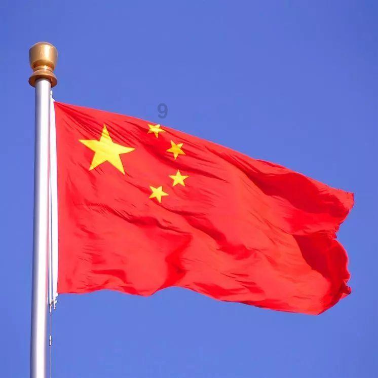 沙苑红萝卜“漂洋过海”闯世界