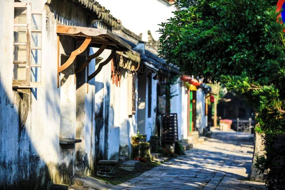 同色彩相撞