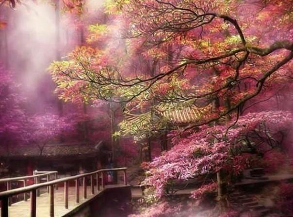 年粑,我家的幸福味道